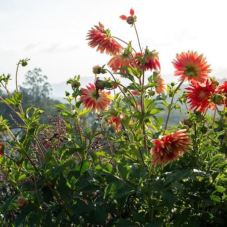 The Xanadu Birkenhead Bed & Breakfast Kodaikanal Ngoại thất bức ảnh