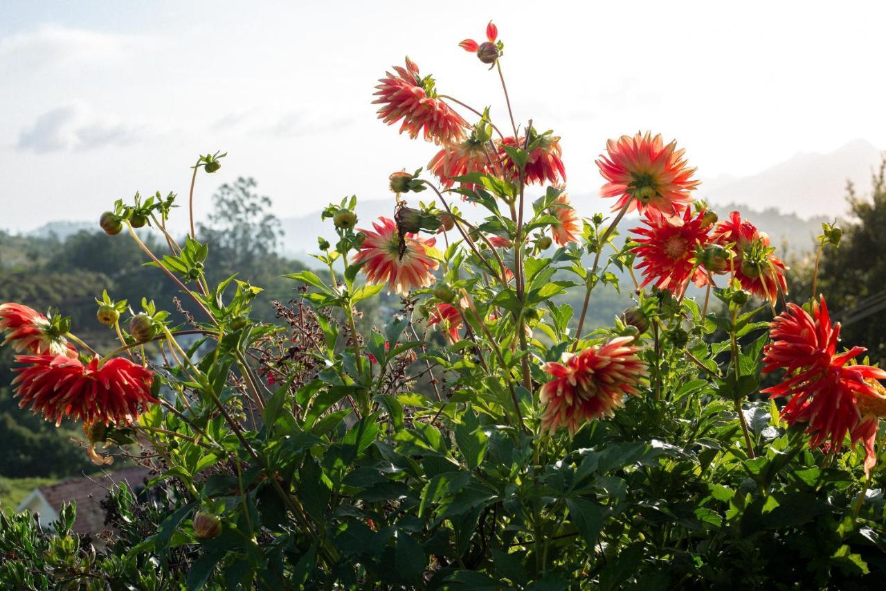 The Xanadu Birkenhead Bed & Breakfast Kodaikanal Ngoại thất bức ảnh